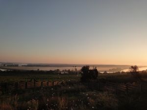 DIS DE DIMENETA LA OSTROV